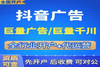 案例分析：信息流平台在电商领域的应用